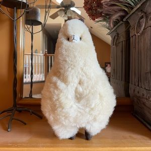 • Alpaca wool alpaca •